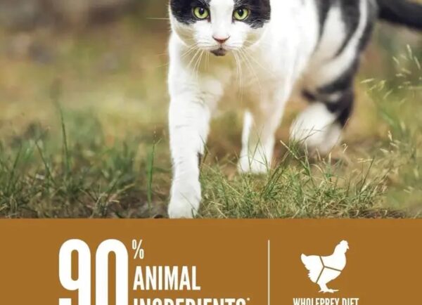 Orijen Cat food pallet (80 pieces) - Image 4