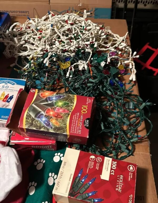Christmas lights Lot