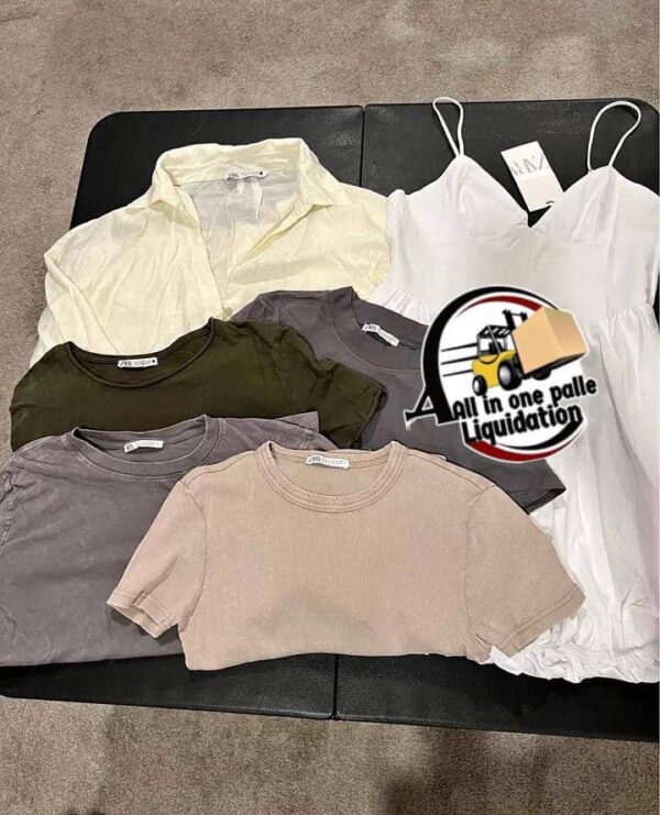 Zara Clothing Lot (Tops) (40 pieces)